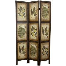 Room Divider, 3-Panel Double Sided Floral Botany Plant Life Floral Leaves