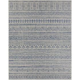 Area Rug, 2 ft. x 3 ft. Blue Grey Chevron Coastal Boho Style Indoor Outdoor