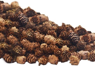 Mini Pine Cone Decor