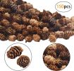 Mini Pine Cone Decor