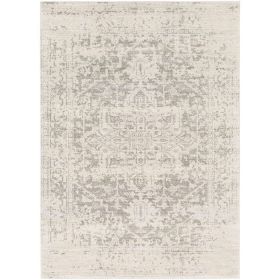 Area Rug, Distressed Oriental  in Light Grey / Beige (size: 5' X 7')