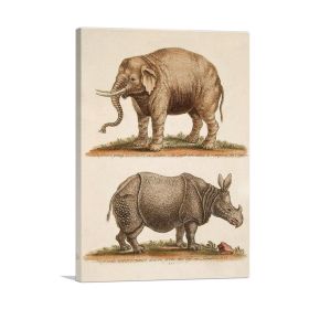 Elephant and Rhinoceros Canvas Print, various sizes (Type: Standard Framed Canvas Print, size: 24" x 16" / 60cm x 40cm (approx))