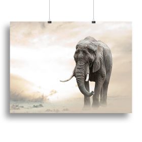 African elephant male walking alone in desert at sunset Canvas Print or Poster (Type: Poster Print, size: 40" x 26" / 100cm x 65cm (approx))