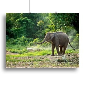 Baby elephant enjoying the outdoors, Canvas Print or Poster (Type: Standard Framed Canvas Print, size: 40" x 26" / 100cm x 65cm (approx))