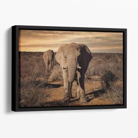 Elephant Posing Floating Framed Canvas, various sizes (Color: Black, size: 16" x 12" / 42cm x 30cm (approx))