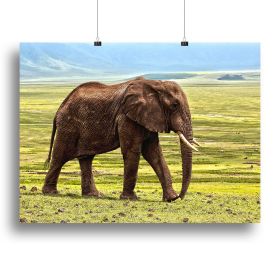 Brown Elephant Canvas Print or Poster (Type: Standard Framed Canvas Print, size: 16" x 12" / 42cm x 30cm (approx))