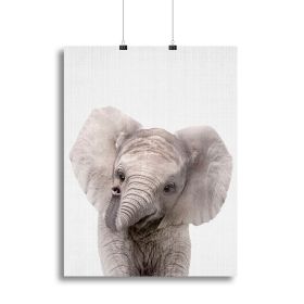 Elephant,  Baby Elephant Canvas Print or Poster, Various Sizes (Type: Standard Framed Canvas Print, size: 24" x 16" / 60cm x 40cm approx)