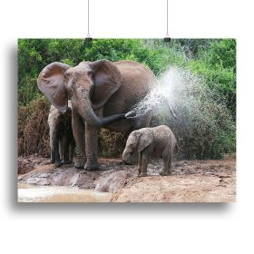 African elephant mother and baby cooling off Canvas Print or Poster (Type: Poster Print, size: 28" x 20" / 70cm x 50cm (approx))
