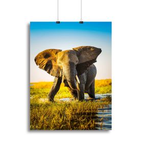 Elephant in pond, in sunset light, Canvas Print or Poster various sizes (Type: Standard Framed Canvas Print, size: 28" x 20" / 70cm x 50cm (approx))