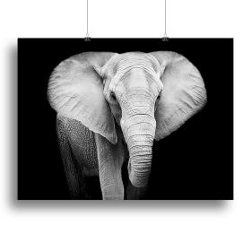 Elephant, Gray Elephant on Black Background,  Canvas Print or Poster, various sizes (Type: Poster Print, size: 28" x 20" / 70cm x 50cm (approx))