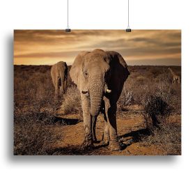 Elephant Posing Canvas Print or Poster, various sizes (Type: Standard Framed Canvas Print, size: 28" x 20" / 70cm x 50cm (approx))