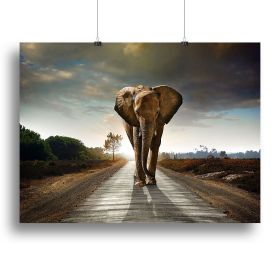 Single elephant walking in a road Canvas Print or Poster, Various Sizes (Type: Poster Print, size: 32" x 24" / 80cm x 60cm (approx))