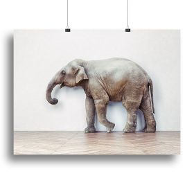 The elephant calm in the room near white wall Canvas Print or Poster, Various Sizes (Type: Standard Framed Canvas Print, size: 40" x 26" / 100cm x 65cm (approx))